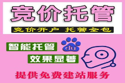 成功案例剖析：SEM代运营公司助力企业营销